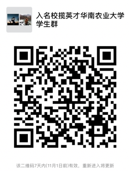 147446486063272547