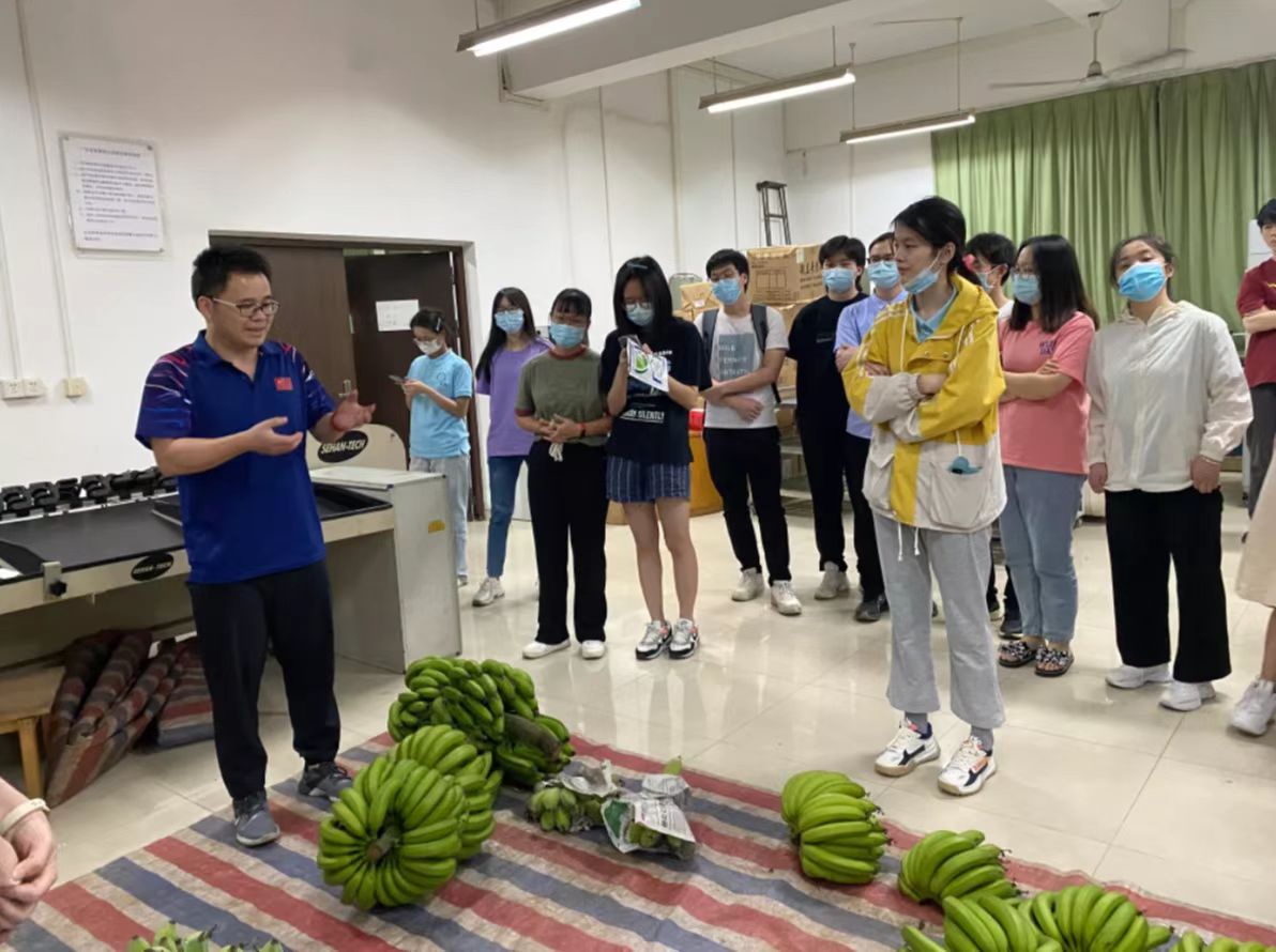 香蕉和苹果——托二班家长助教活动 - 多彩的一天 - 杭州市上城区三新幼儿园